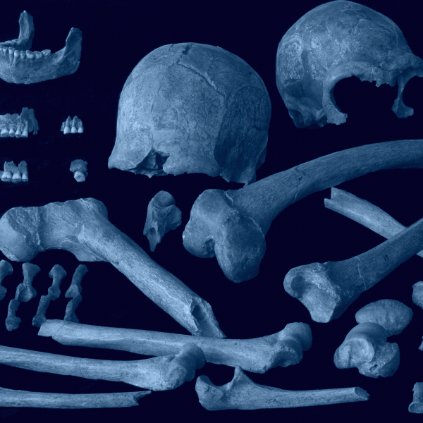 Menselijke resten