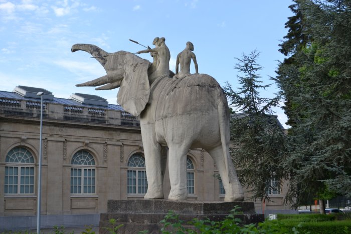 olifant - éléphant