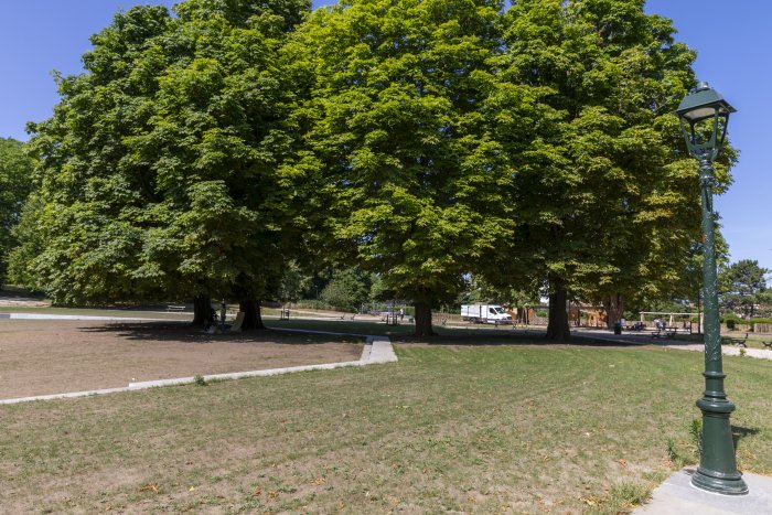 foto park van Vorst