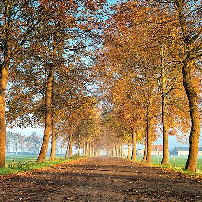 Photo campagne SBE septembre 2025