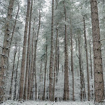 Photo campagne SBE décembre 2025