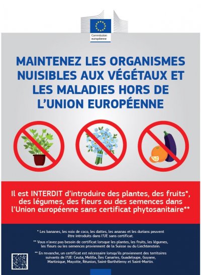 Poster transport airports plant FR