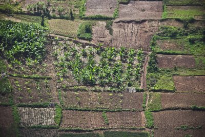 Landscape Rwanda (c) Dieter Telemans