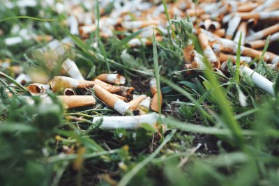 Mégots de cigarettes dans l'herbe