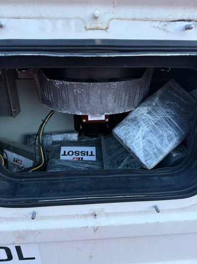 Partij I container ananas Costa Rica