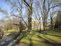 park van Vorst