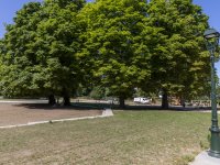 Foto park van Vorst