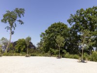 Foto top van de heuvel