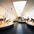 Galerie Planète Vivante